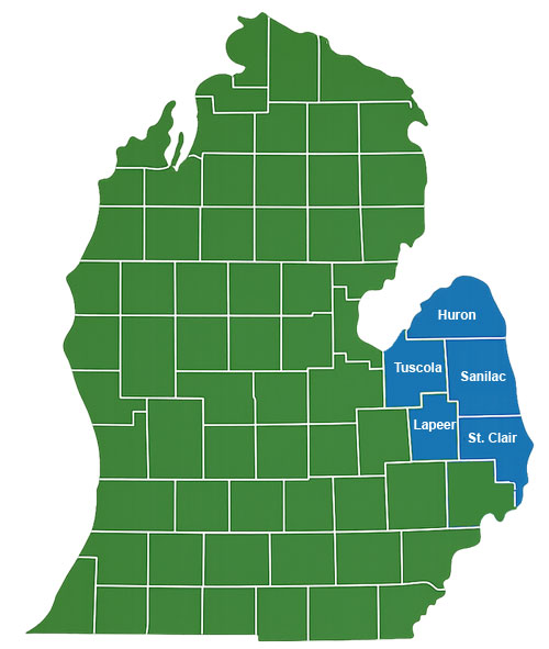 Professional land clearing and forestry mulching by Extreme Land Clearing in Applegate, Michigan